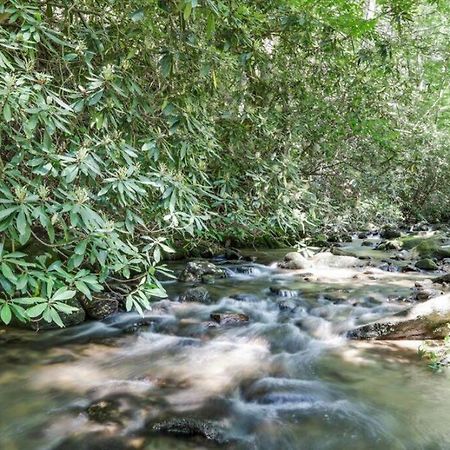 Open Studio Lodge At Little Rock Creek Cherry Log Ngoại thất bức ảnh