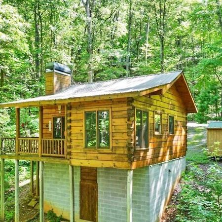 Open Studio Lodge At Little Rock Creek Cherry Log Ngoại thất bức ảnh