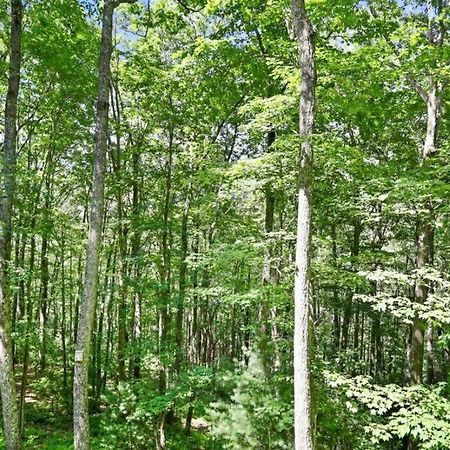 Open Studio Lodge At Little Rock Creek Cherry Log Ngoại thất bức ảnh