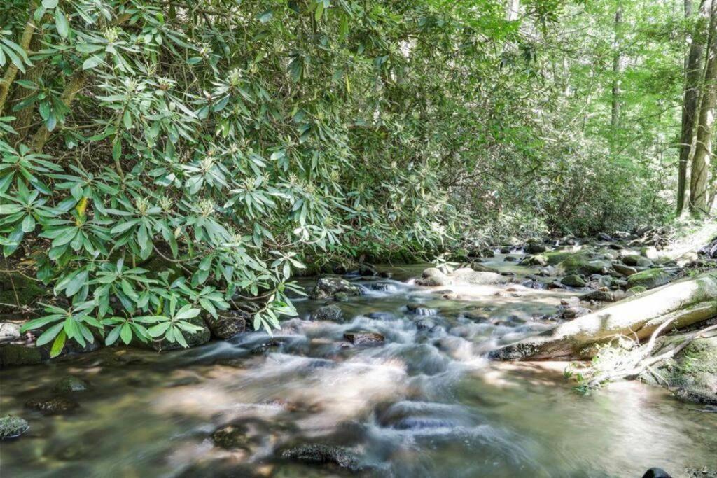 Open Studio Lodge At Little Rock Creek Cherry Log Ngoại thất bức ảnh