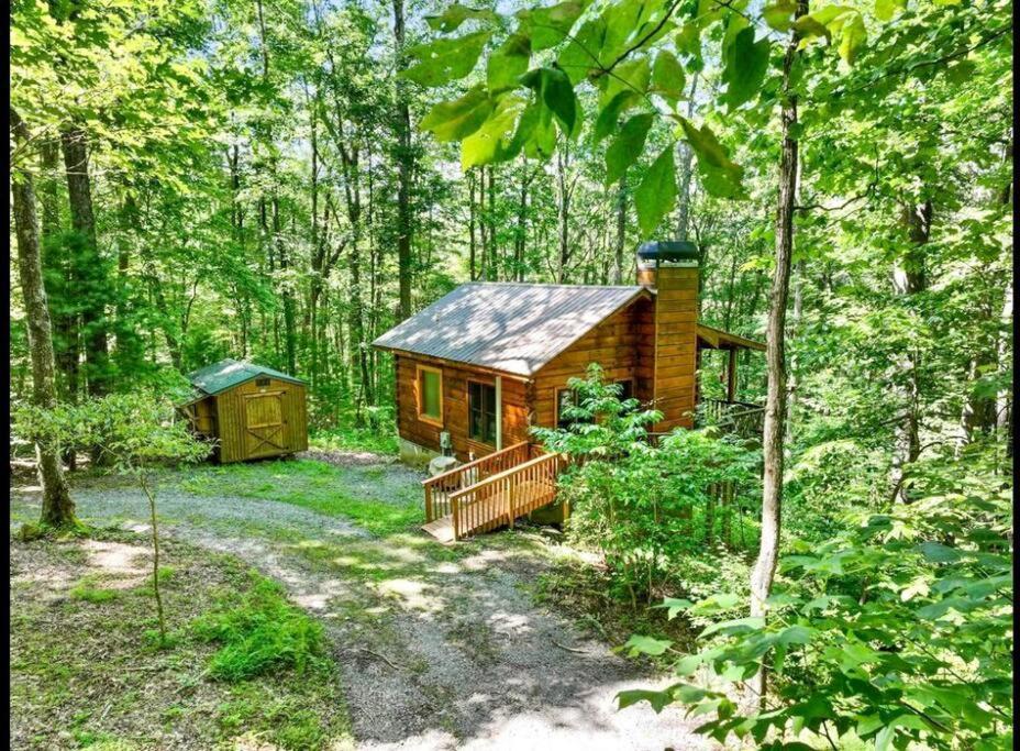 Open Studio Lodge At Little Rock Creek Cherry Log Ngoại thất bức ảnh