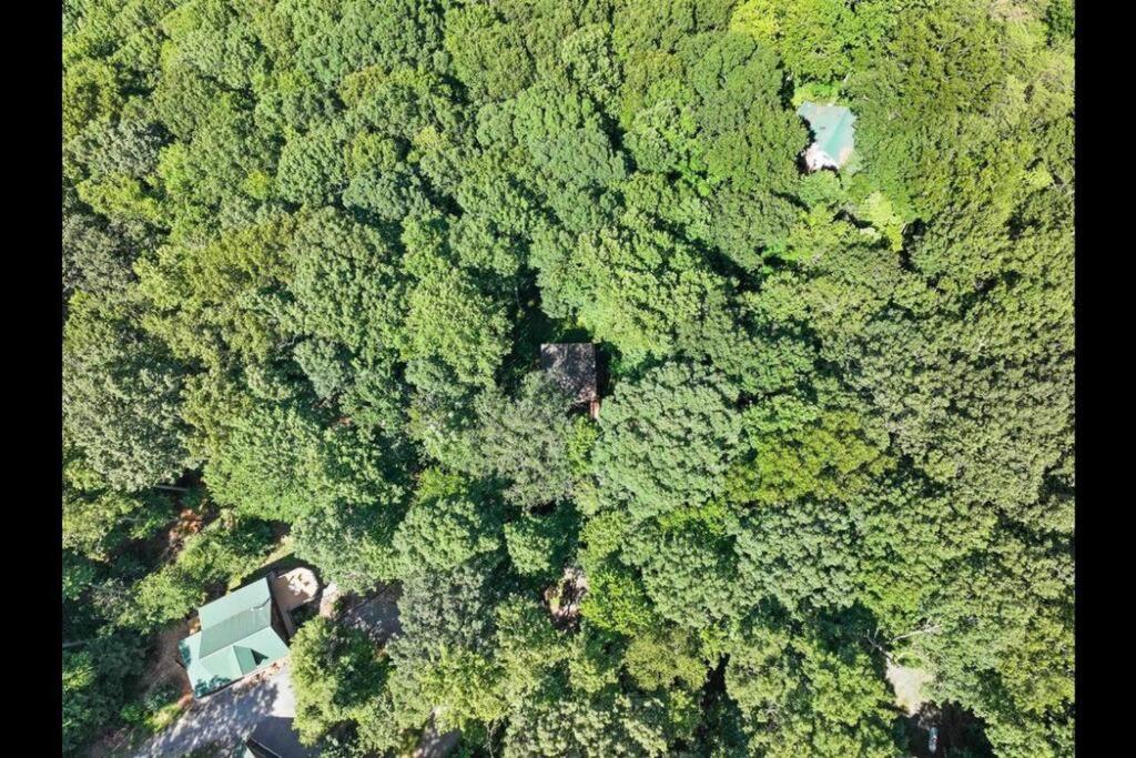 Open Studio Lodge At Little Rock Creek Cherry Log Ngoại thất bức ảnh